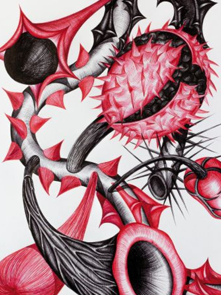 FLOWERDRAWINGS THE GARDEN